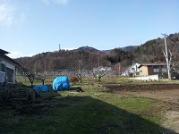 20120306_141842.jpg