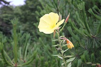IMG_6763.jpg