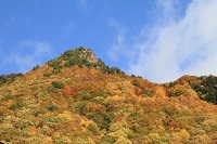 IMG_8723.JPG