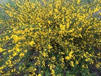 image1.JPG