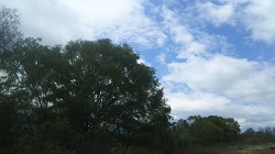 DSC_7476.JPG