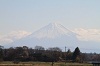IMG_9773.jpg