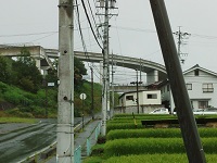 004.jpg