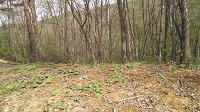 DSC_0044.JPG