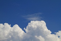IMG_7240.jpg