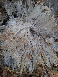 20121221_093003.jpg
