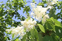 IMG_6812.jpg