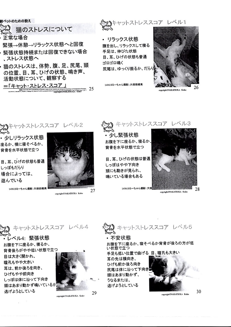 EPSON013.JPG