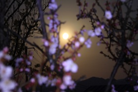 IMG_6252.JPG