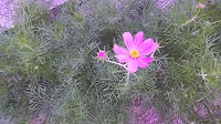 DSC_0029.JPG