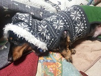 20121024_210453.jpg