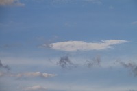 IMG_4559.jpg