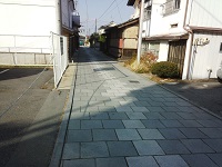 006.jpg