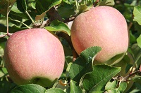 IMG_8641.JPG