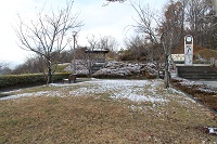 IMG_2787.jpg