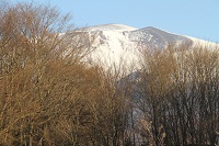 IMG_1257.jpg