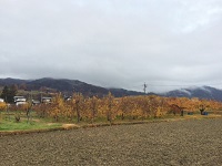 image1.JPG