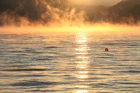 IMG_9714.JPG