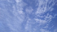 DSC_0001.JPG