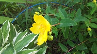 DSC_0002.JPG