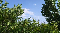 DSC_0026.JPG