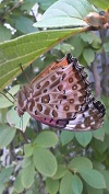 2011083017220002.jpg