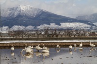 IMG_9876.JPG