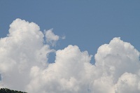 IMG_0891.jpg