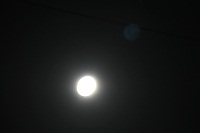 IMG_6924.JPG