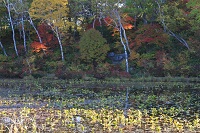 IMG_8367.jpg