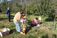 IMG_9495.jpg
