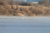 IMG_1155.jpg