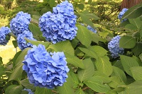 IMG_4297.jpg