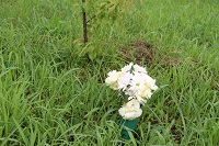 IMG_8414.JPG