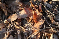IMG_1258.JPG