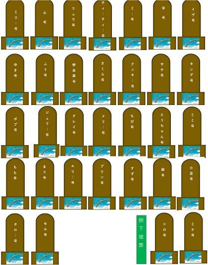 02.jpg