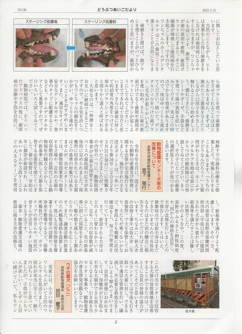 02.jpg