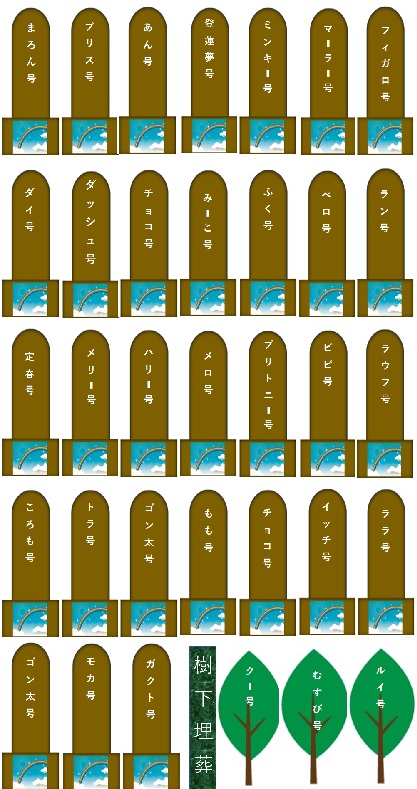 200.jpg
