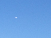 IMG_1407.JPG