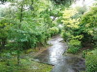 DSC_0073.jpg