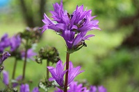 IMG_0767.jpg