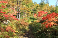 IMG_8051.jpg
