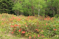 IMG_6404.jpg