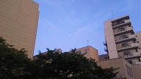 DSC_0021.JPG