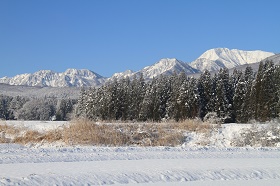 IMG_4548.JPG