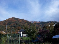 20121114_142844.jpg