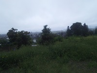 IMG_20180910_114505.jpg