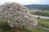 IMG_5211.jpg