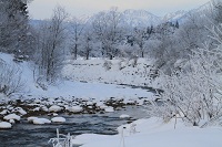 IMG_1210.jpg