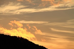 IMG_5387.jpg